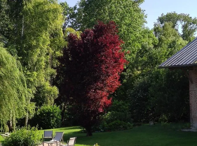 Des Viviers -08400 - De 1 à 2 Personnes *